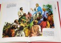 ILUSTROWANA BIBLIA MŁODYCH PIĘKNA Pallottinum6.jpg